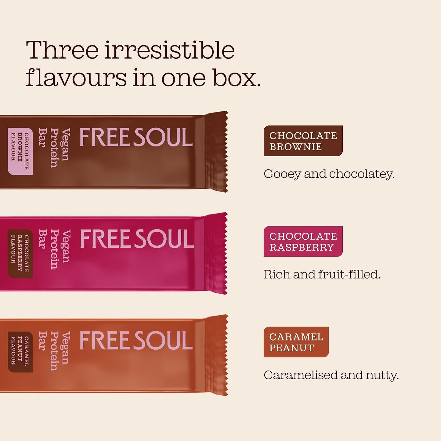 Vegan Protein Bars 12 X 50G | Plant Based Chocolate Protein Bars | Delicious Dairy Free, Low Sugar, Low Carb Bars | Sucralose Free, Gluten Free | 15G of Protein per Bar |