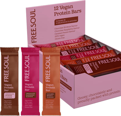 Vegan Protein Bars 12 X 50G | Plant Based Chocolate Protein Bars | Delicious Dairy Free, Low Sugar, Low Carb Bars | Sucralose Free, Gluten Free | 15G of Protein per Bar |
