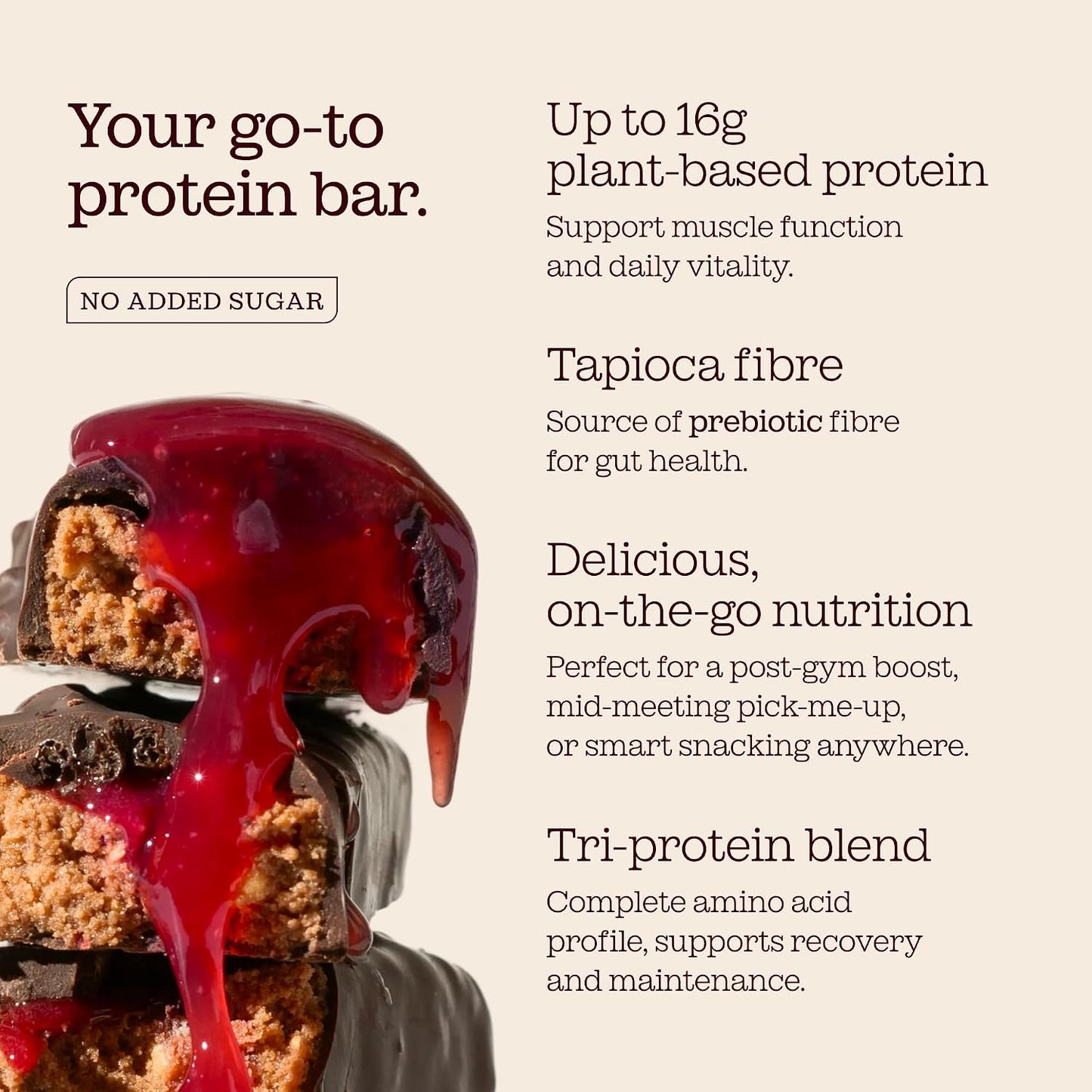 Vegan Protein Bars 12 X 50G | Plant Based Chocolate Protein Bars | Delicious Dairy Free, Low Sugar, Low Carb Bars | Sucralose Free, Gluten Free | 15G of Protein per Bar |