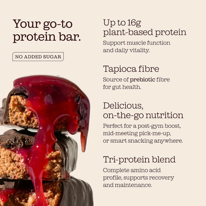 Vegan Protein Bars 12 X 50G | Plant Based Chocolate Protein Bars | Delicious Dairy Free, Low Sugar, Low Carb Bars | Sucralose Free, Gluten Free | 15G of Protein per Bar |